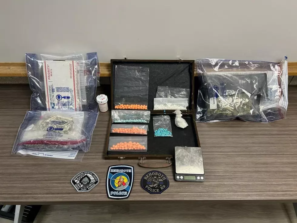 Search Warrant at a Rehoboth Home Uncovers a Massive Stash of Drugs