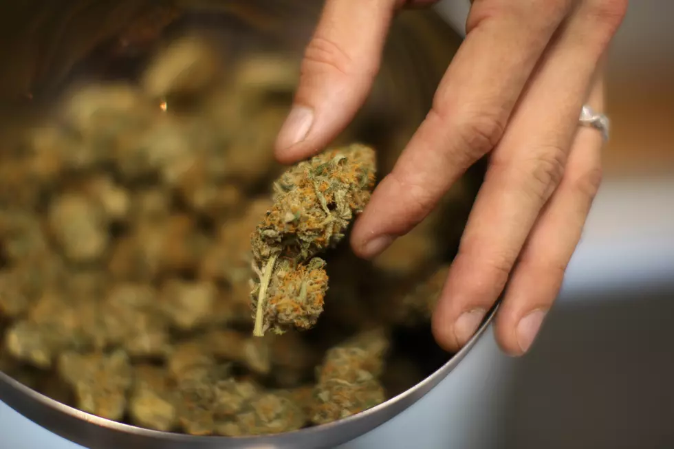 Fairhaven Holds Public Forum On Local Marijuana Regulation