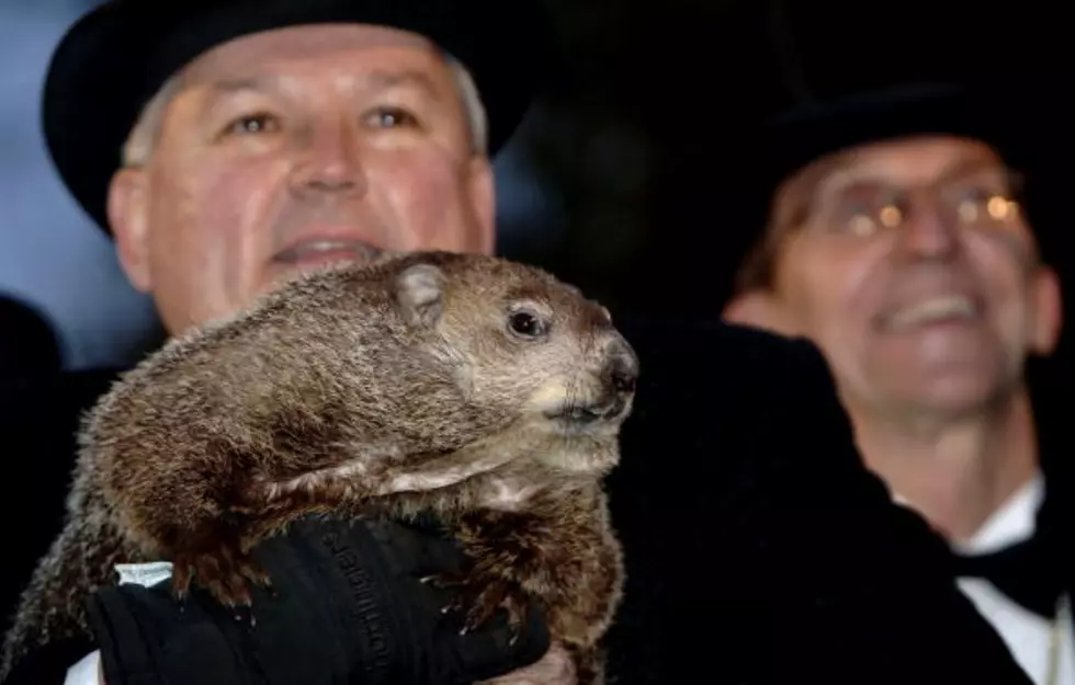 Pennsylvania Groundhog ‘Forecasts’ 6 More Weeks Of Winter
