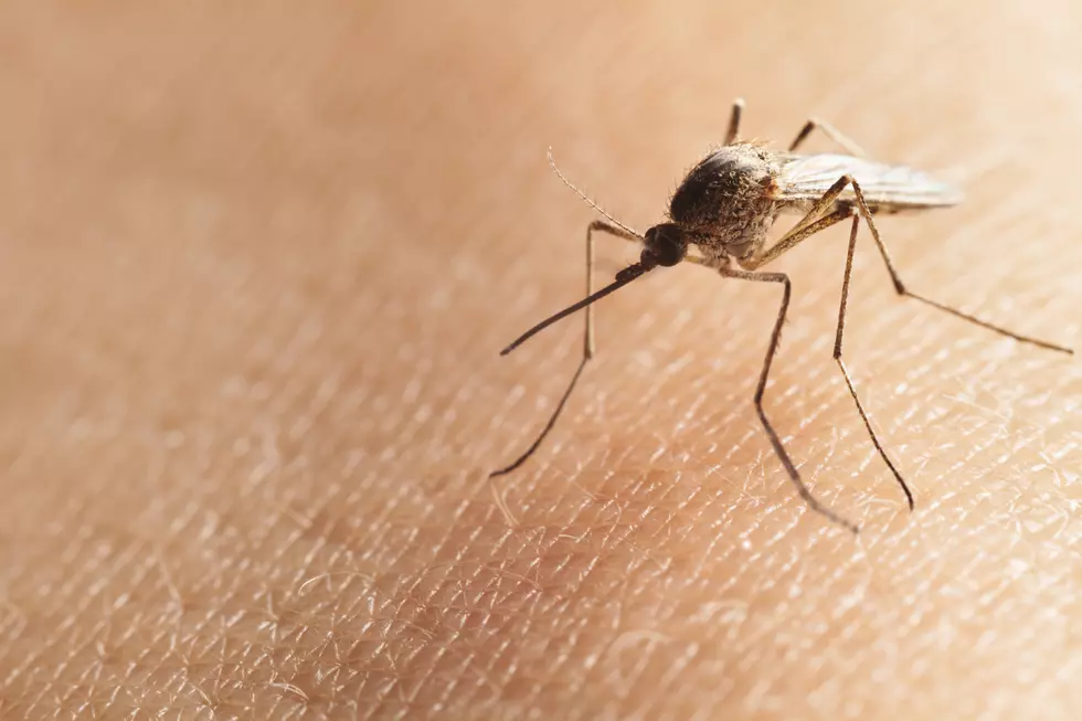 Massachusetts Raises West Nile Risk Level Statewide