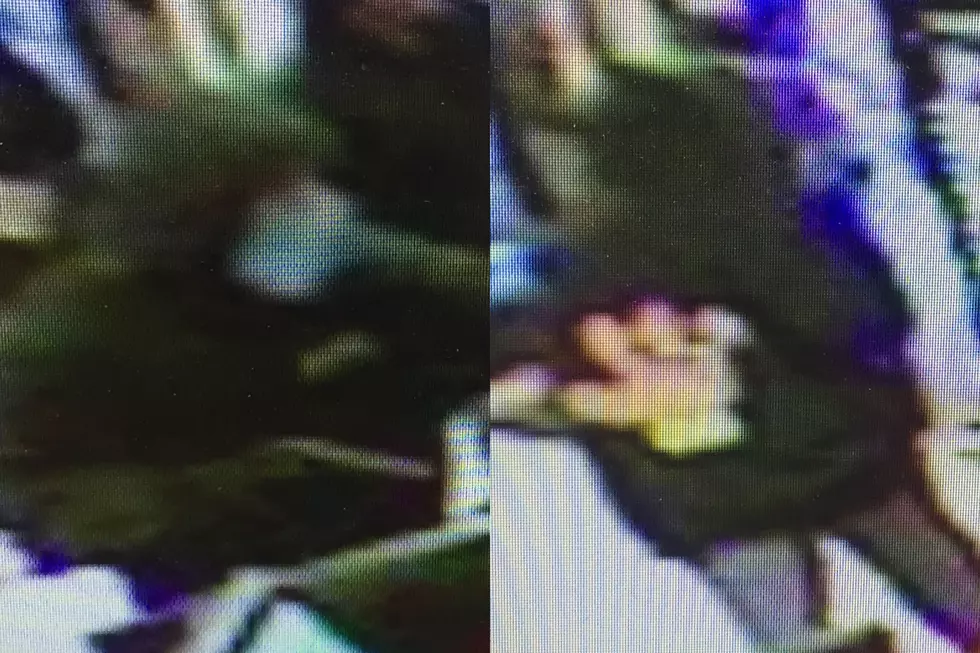 Wareham Police Searching for Armed Robbery Suspect