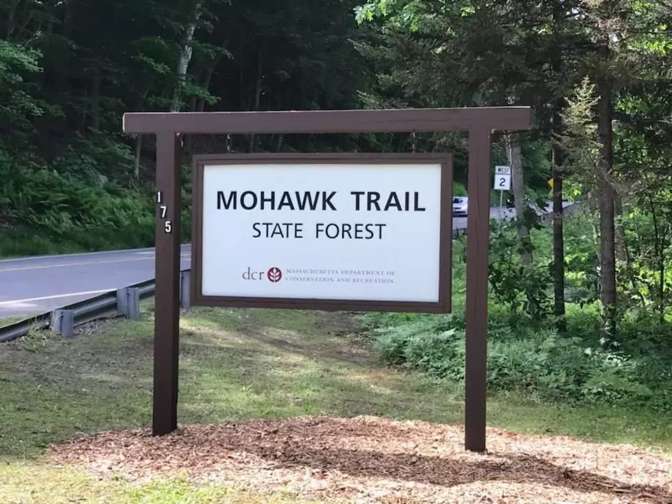 Massachusetts Sets Rules of Etiquette for Using State’s Trails