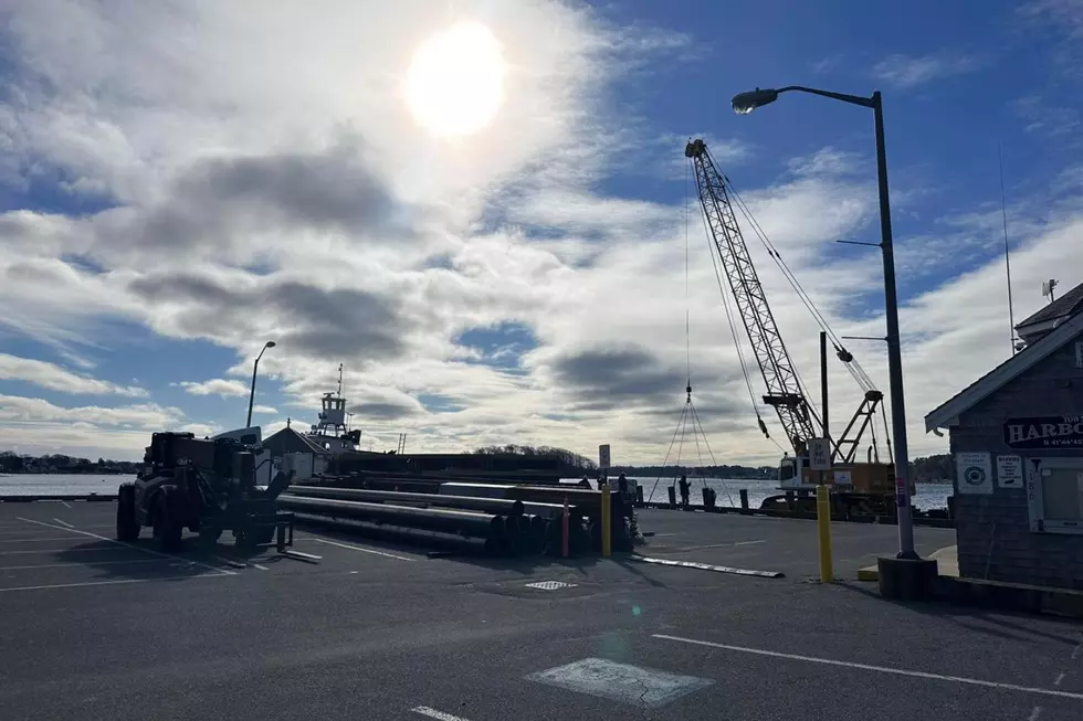 Wareham Department of Natural Resources via Facebook