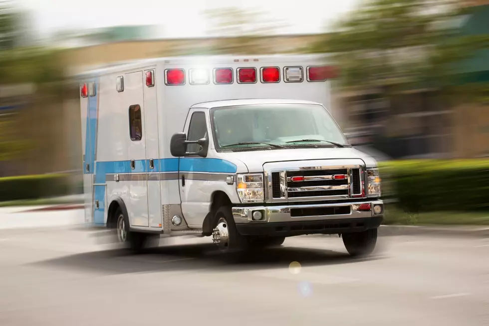Hingham Man Killed When Tree Falls on Trailer in Hanover