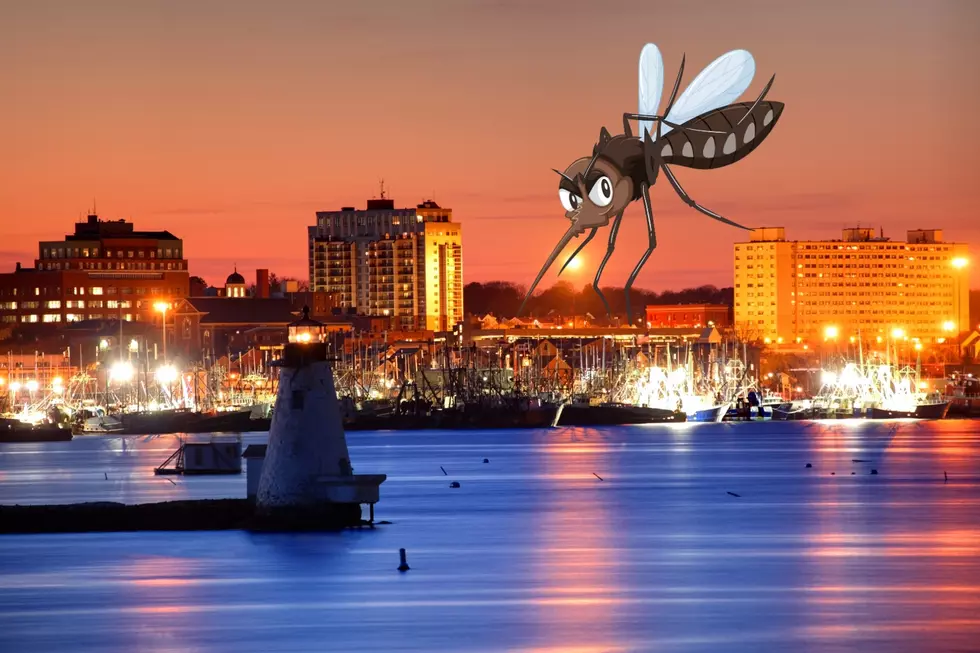West Nile Virus Detected in New Bedford Mosquito Sample
