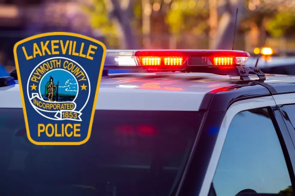 Two Teens Face Massive List of Charges After High-Speed Chase Through Lakeville