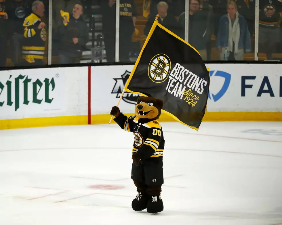 Boston’s Professional Sports Team Mascots