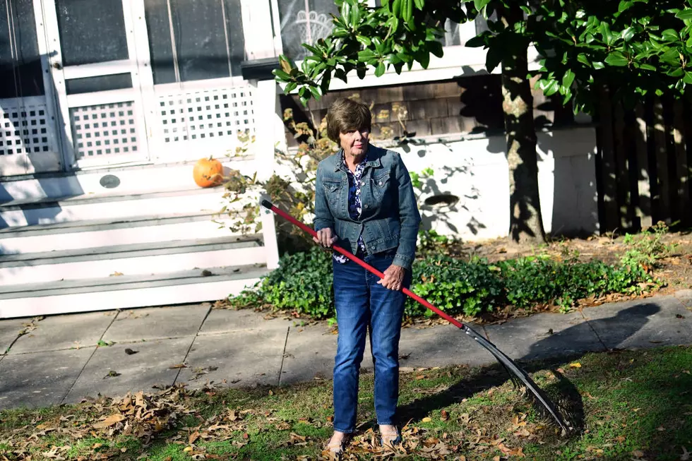 New Bedford’s Status as More Massachusetts Towns Ban Leaf Blowers