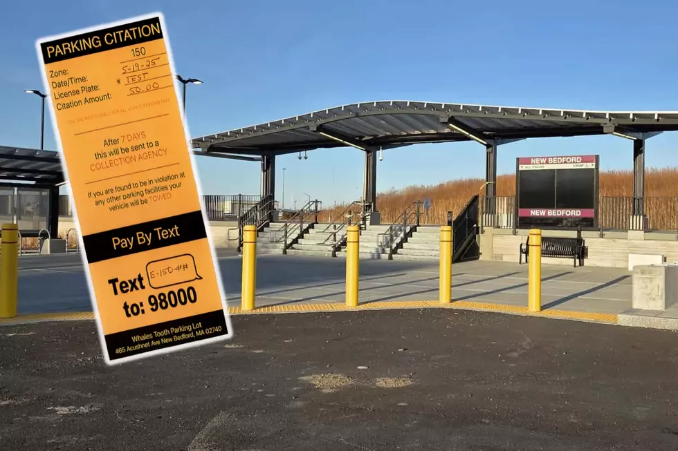 New Bedford Port Authority Will ‘Void and Waive’ Whale’s Tooth Fines After Confusion