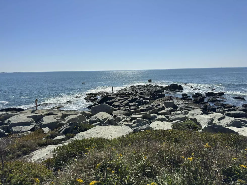 Discover Rhode Island’s Hidden Coastal Gem: Sachuest Point