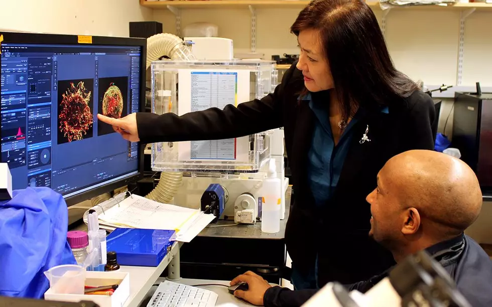 MIT Launches Down Syndrome Research Center