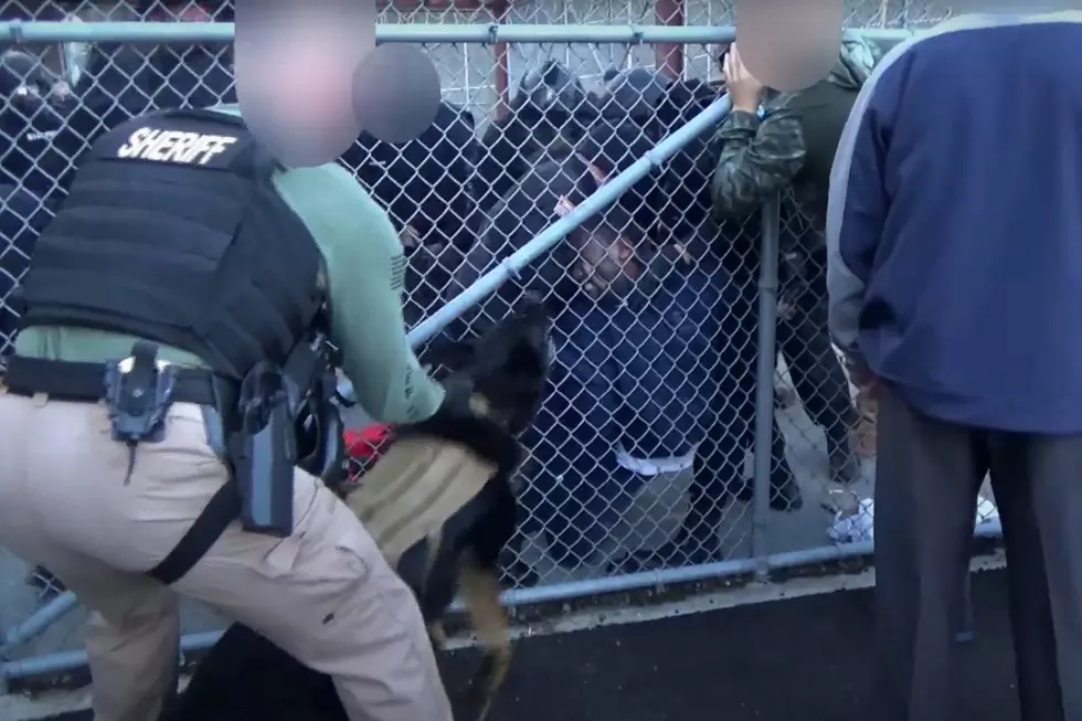 Bristol County Sheriff Settles ICE Detainee Lawsuit for $800K Using No Taxpayer Money