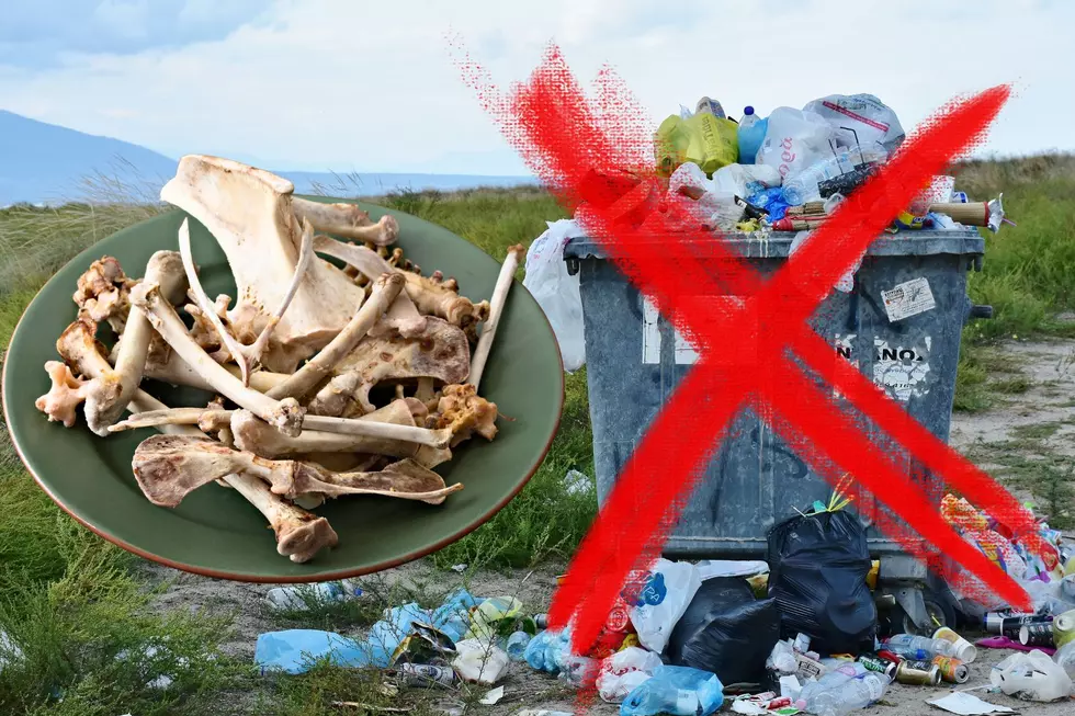 Here’s Why You Shouldn’t Toss Your Thanksgiving Turkey Carcass