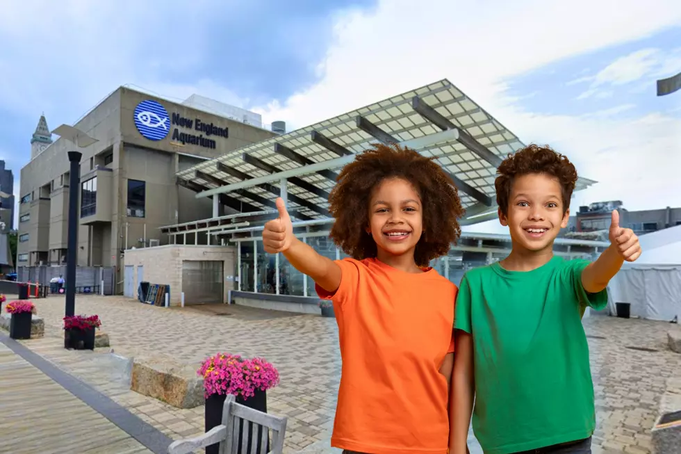 Massachusetts Has Some of the Best Aquariums in the U.S.