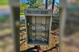 Cape Cod Dogs Can Now Share Their Sticks With Community Stick Library