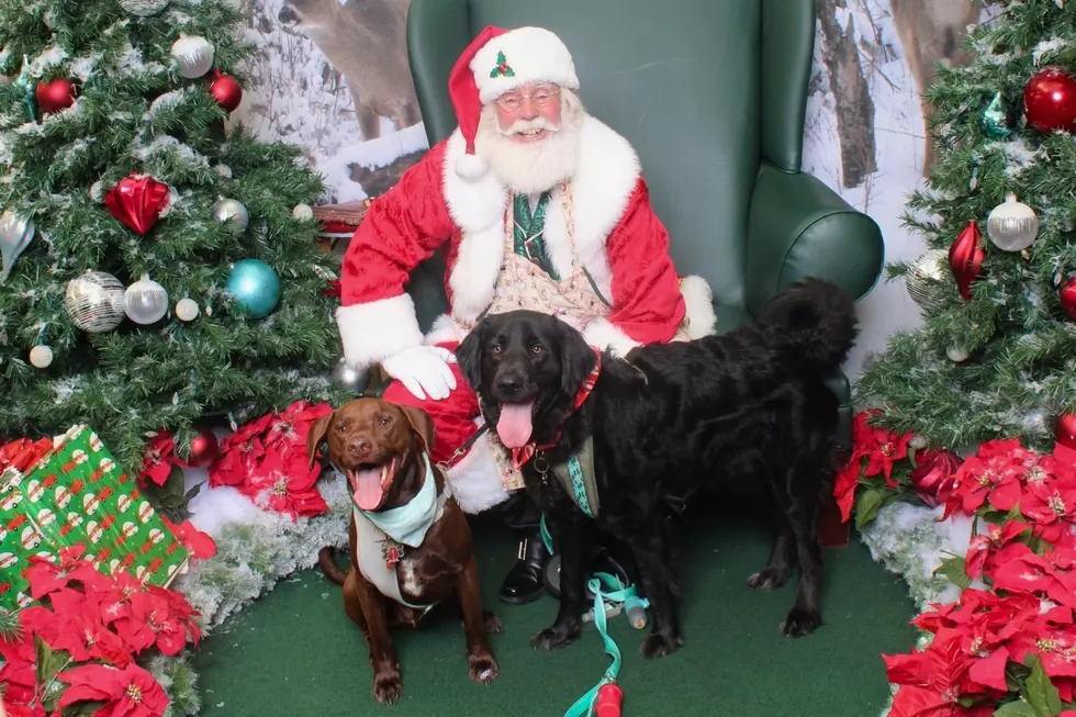 Bring Your Pets for Holiday Photos With Santa at Dartmouth Mall