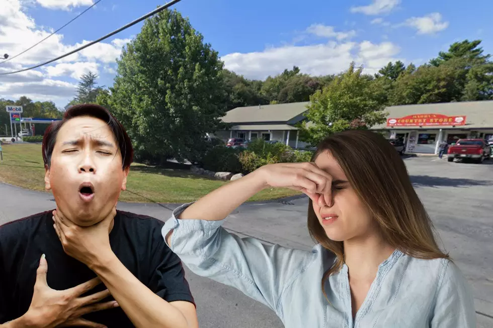 Why Westport Smells Like Rotting Fish Right Now