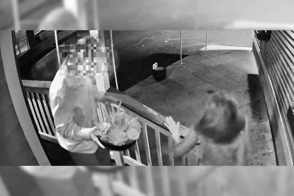 Massachusetts ‘Cactus Bandits’ Caught on Camera at Fall River’s Belmont Club