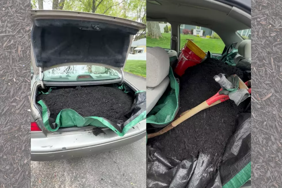 New Bedford Man Fills Toyota Camry With Mulch and Somehow Pulls It Off