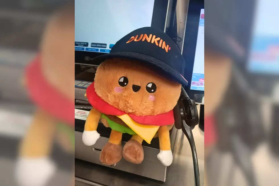 Taunton Dunkin Employee Helps Lost Plush Find Home