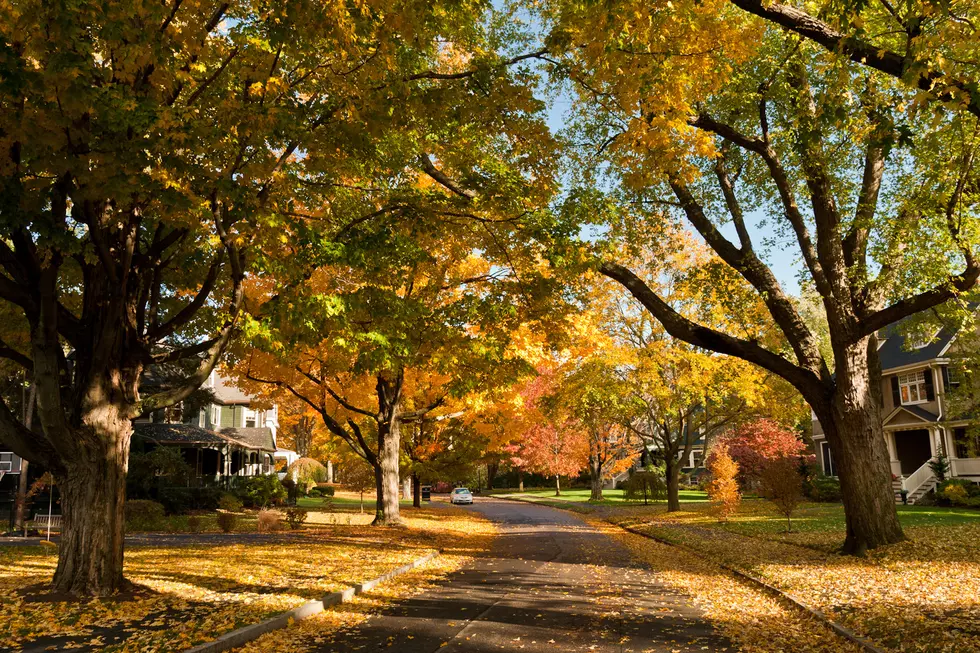 The 10 Snobbiest Places in Massachusetts for 2024
